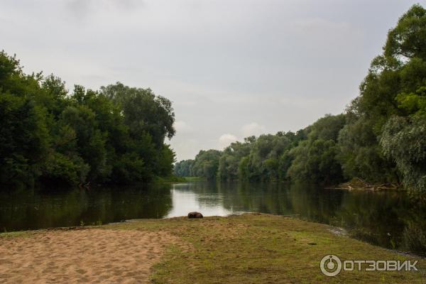 Введенский ставропигиальный мужской монастырь Оптина Пустынь (Россия, Козельск) фото