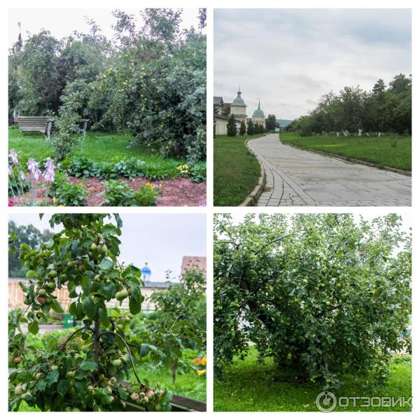 Введенский ставропигиальный мужской монастырь Оптина Пустынь (Россия, Козельск) фото