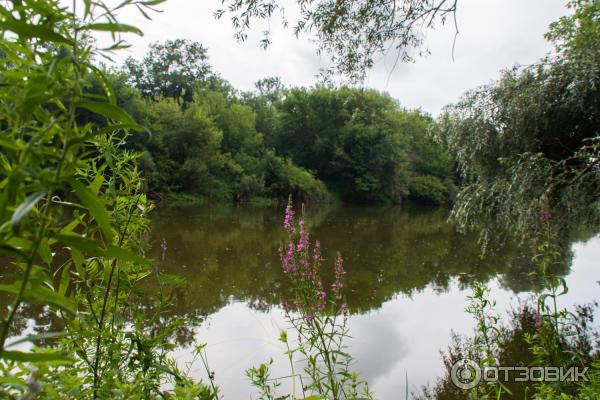 Введенский ставропигиальный мужской монастырь Оптина Пустынь (Россия, Козельск) фото