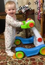 Ходунки-каталка Chicco Ergo Gym фото