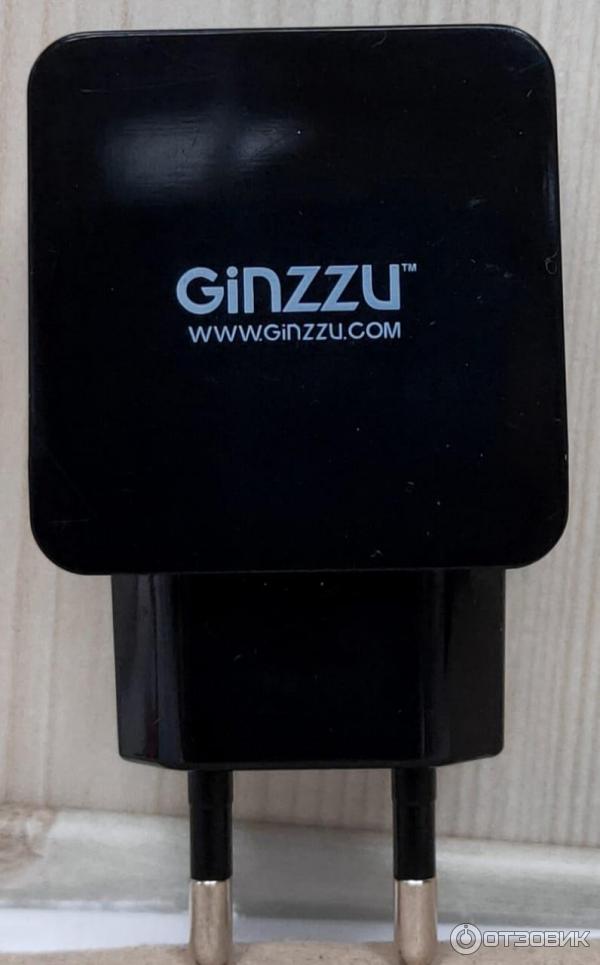 Сетевое зарядное устройство Ginzzu GA-331UB фото
