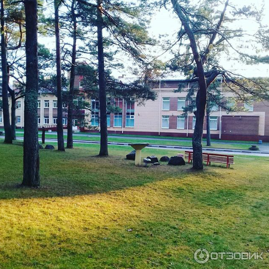 Генератор коллоидных ионов серебра Диод ''Георгий'' фото