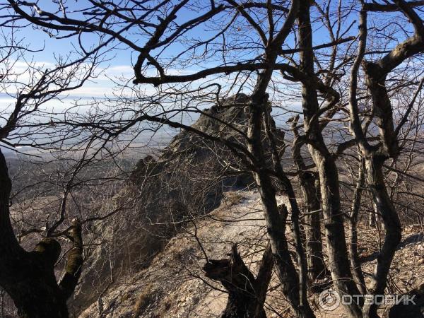 Экскурсия на гору Бештау (Россия, Железноводск) фото