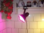 Светодиодная лампа Uniel LED для растений фото