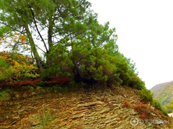 Экскурсия на гору Святого Вита (Черногория, Тиват) фото