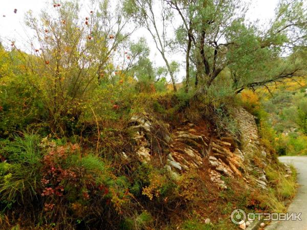 Экскурсия на гору Святого Вита (Черногория, Тиват) фото