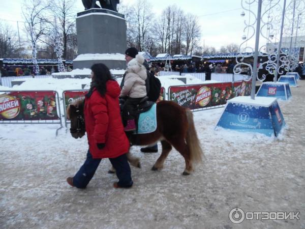 Катание на пони