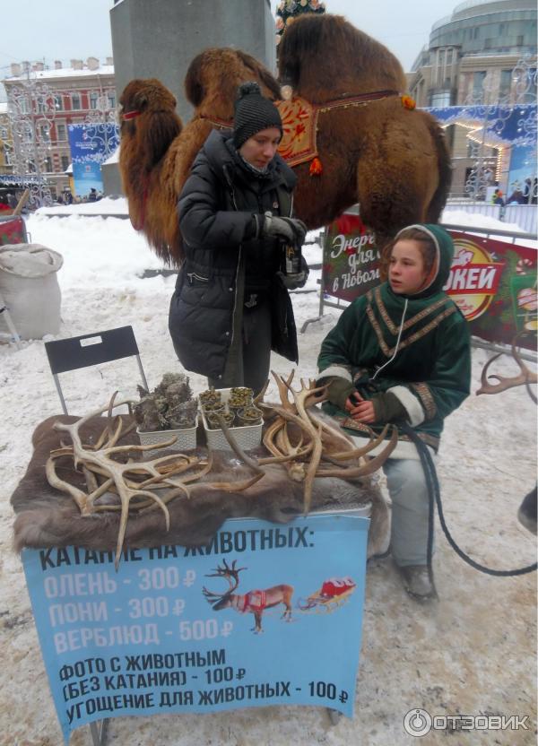 Развлечения на ярмарке