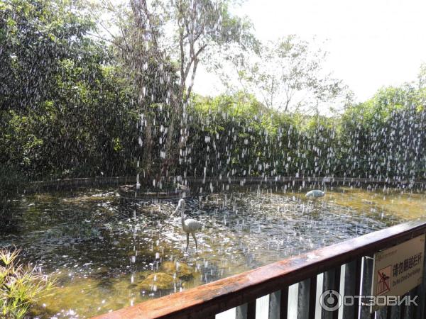 Парк Sanya Tropical Paradise (Китай, Санья) фото