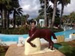 Аквапарк Water World Waterpark (Кипр, Айя-Напа) фото