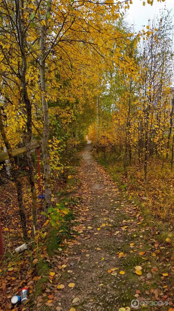 Город Покров (Россия, Владимирская область) фото