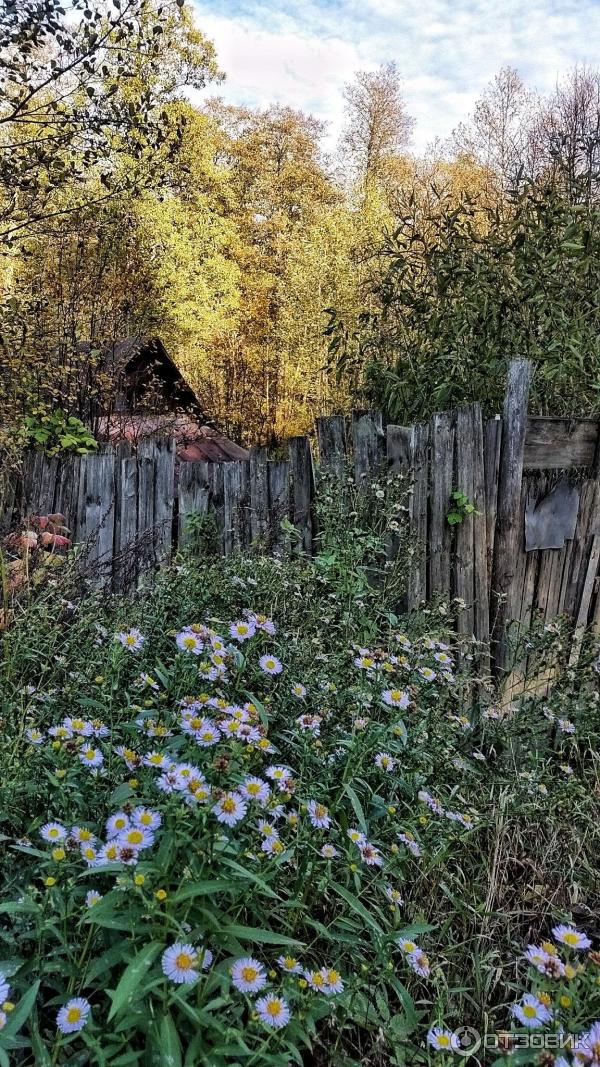 Город Покров (Россия, Владимирская область) фото