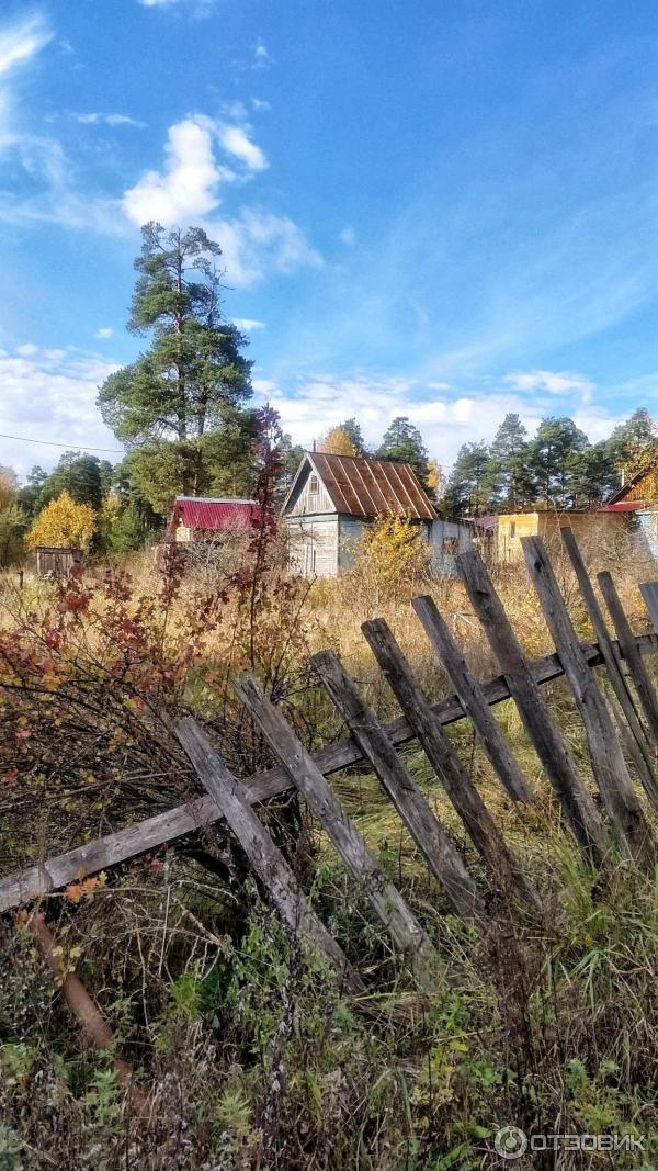 Город Покров (Россия, Владимирская область) фото