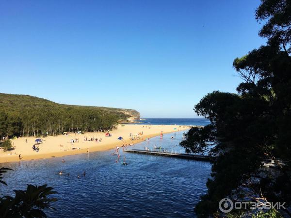 Пляж Wattamolla Beach (Австралия, Сидней) фото