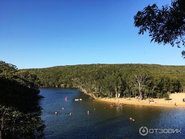 Пляж Wattamolla Beach (Австралия, Сидней) фото