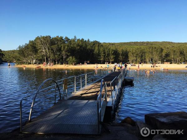 Пляж Wattamolla Beach (Австралия, Сидней) фото