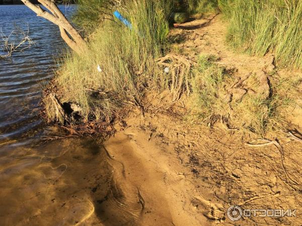 Пляж Wattamolla Beach (Австралия, Сидней) фото