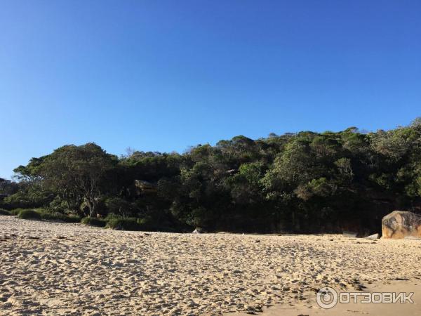 Пляж Wattamolla Beach (Австралия, Сидней) фото