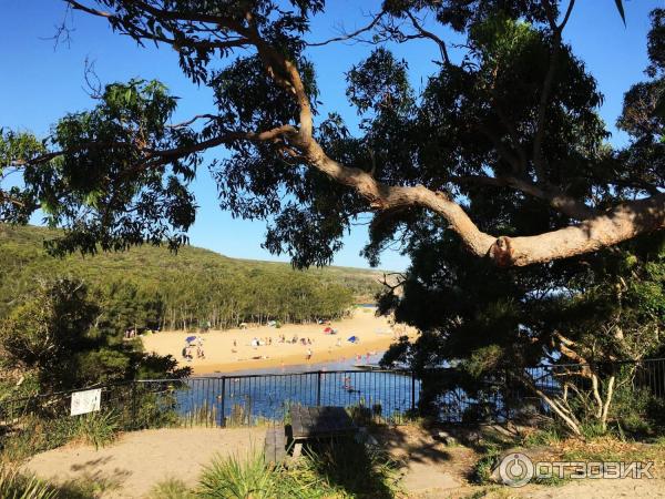 Пляж Wattamolla Beach (Австралия, Сидней) фото