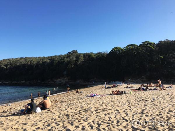 Пляж Wattamolla Beach (Австралия, Сидней) фото