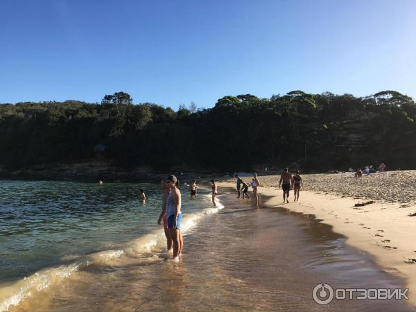 Пляж Wattamolla Beach (Австралия, Сидней) фото