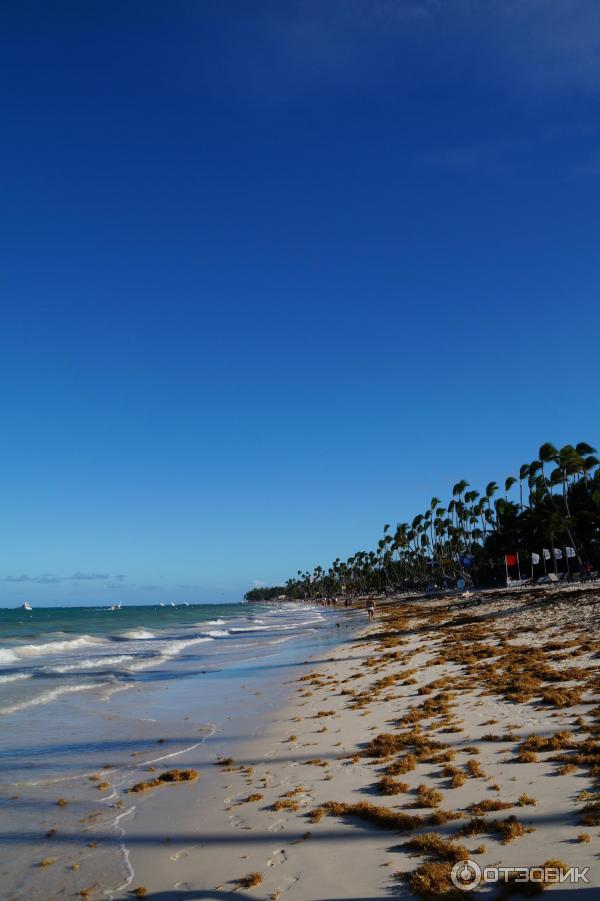 Отель Occidental Grand Punta Cana 4* (Доминикана, Пунта Кана) фото