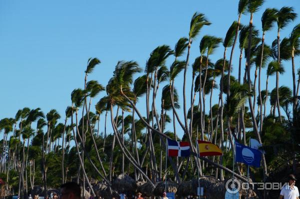 Отель Occidental Grand Punta Cana 4* (Доминикана, Пунта Кана) фото