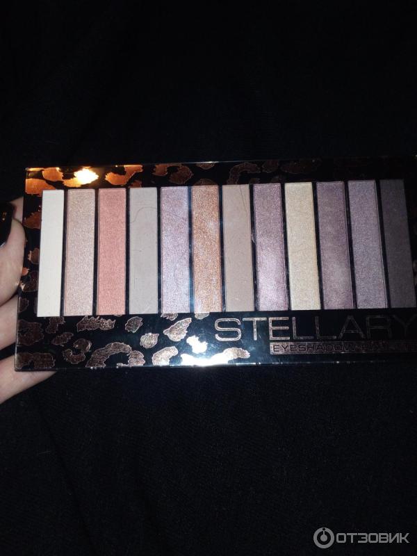 Палетка теней для век STELLARY 12 цветов Eyeshadow Pallete фото