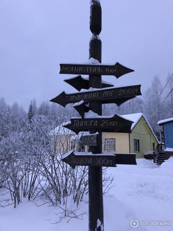 Лесной отель Голубино (Россия, Архангельская область) фото