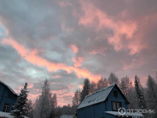 Лесной отель Голубино (Россия, Архангельская область) фото