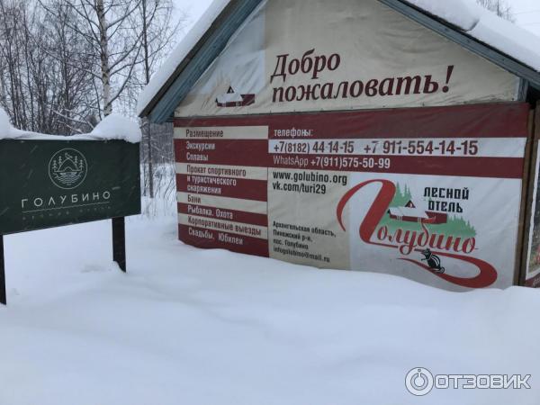 Лесной отель Голубино (Россия, Архангельская область) фото