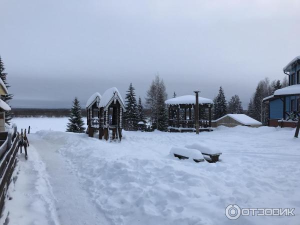 Лесной отель Голубино (Россия, Архангельская область) фото
