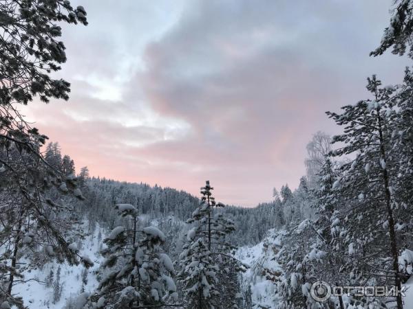 Лесной отель Голубино (Россия, Архангельская область) фото