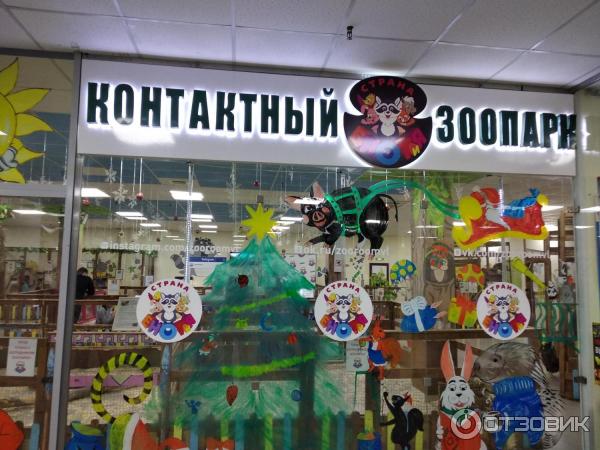 Контактный зоопарк во владивостоке Контактный зоопарк во владивостоке
