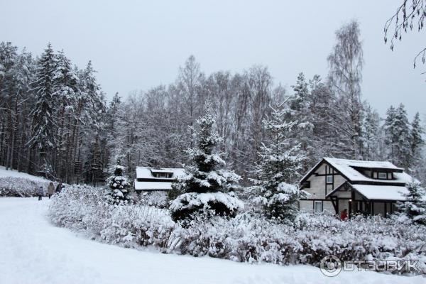 Загородный клуб Давинчи Парк (Россия, Ленинградская область) фото