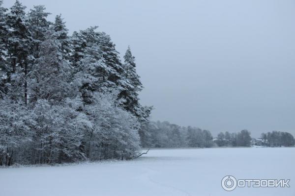 Загородный клуб Давинчи Парк (Россия, Ленинградская область) фото