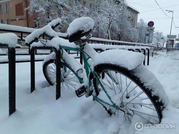 Велопарковка перед входом