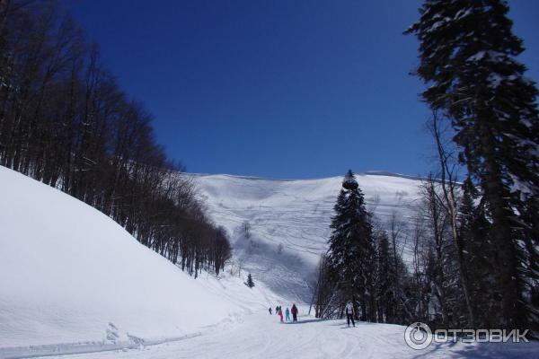 Горнолыжный комплекс Роза Хутор (Россия, Сочи) фото