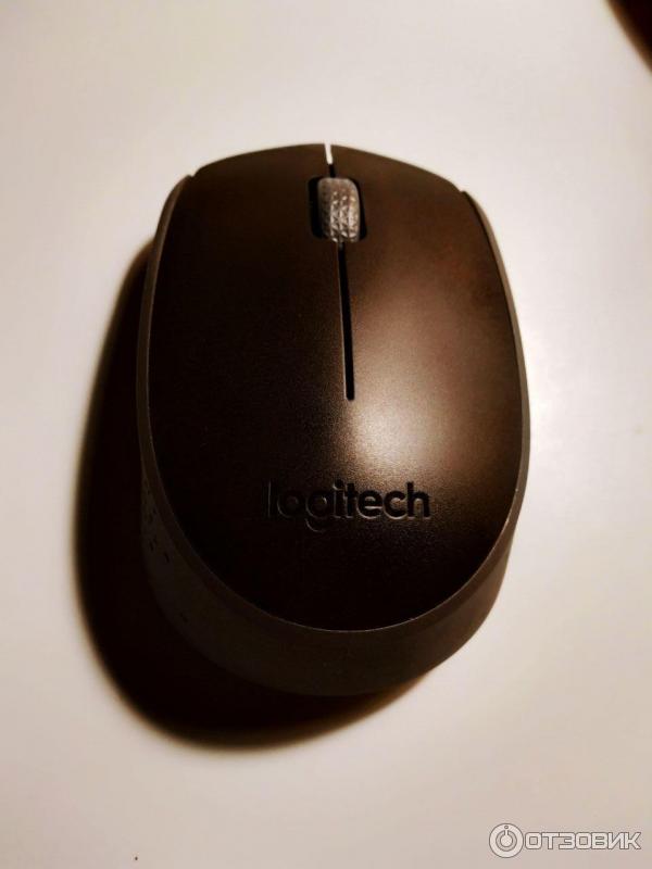 Logitech M171