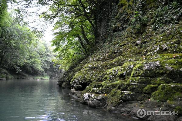 Экскурсия в Мартвильский каньон (Грузия, Самегрело) фото