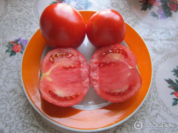 Семена томата Сибирский сад Никола фото
