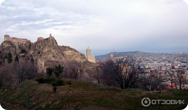 Ботанический сад (Грузия, Тбилиси) фото