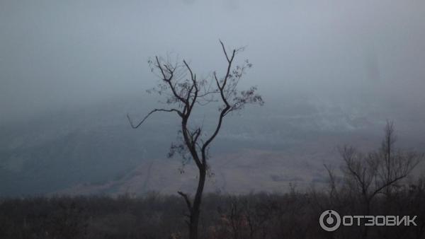 Экскурсия по г. Минеральные Воды (Россия, Ставропольский край) фото