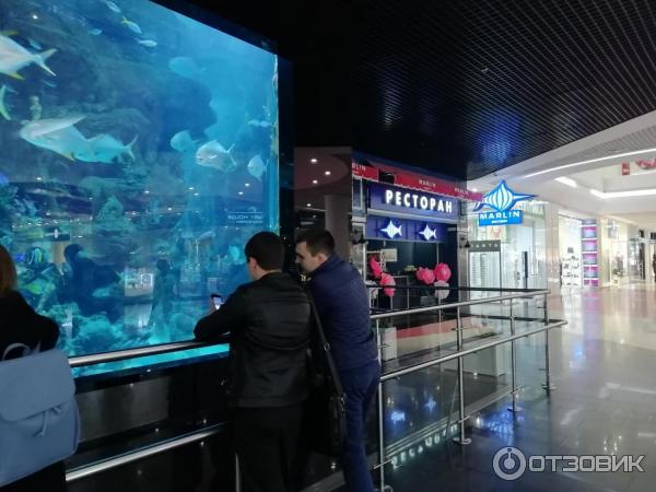 Торгово-развлекательный центр Ocean Plaza (Украина, Киев) фото