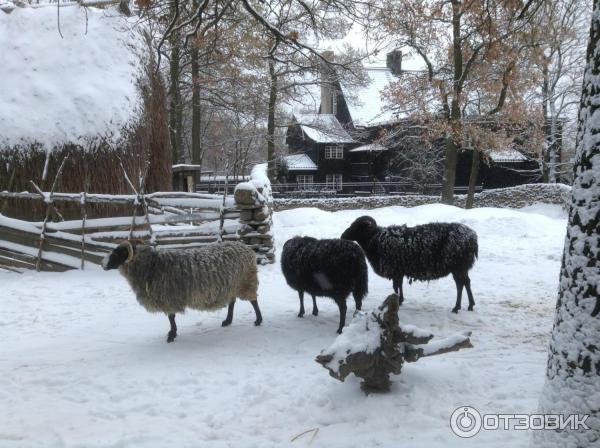 Музей Skansen (Швеция, Стокгольм) фото