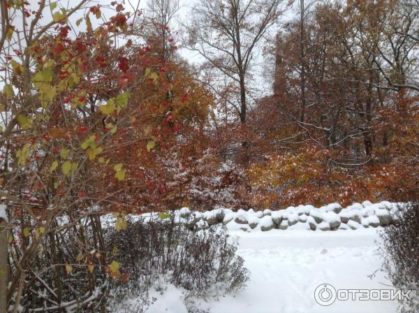 Музей Skansen (Швеция, Стокгольм) фото