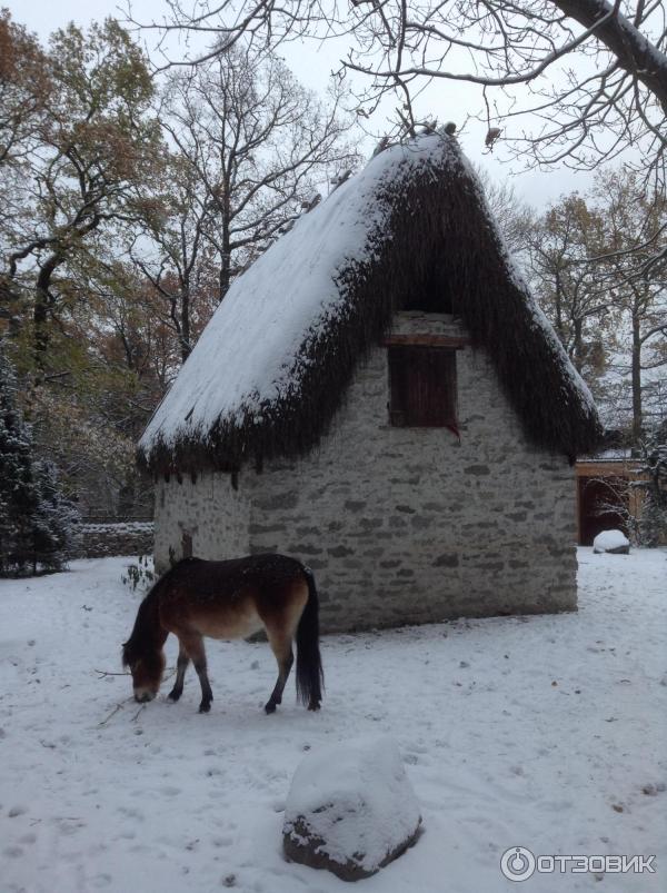 Музей Skansen (Швеция, Стокгольм) фото