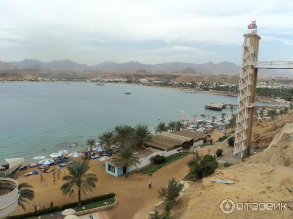 Отель Beach Albatros Sharm 4* (Египет, Шарм-эль-Шейх) фото