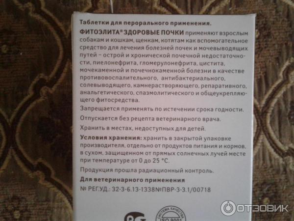 Здоровые почки для кошек