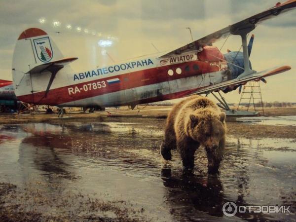 Выставка Фотоконкурс Российского географического общества Самая красивая страна в ЦДХ (Россия, Москва)